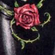 Roza